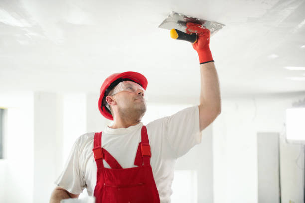 Best Fire-Damaged Drywall Repair  in East Troy, WI